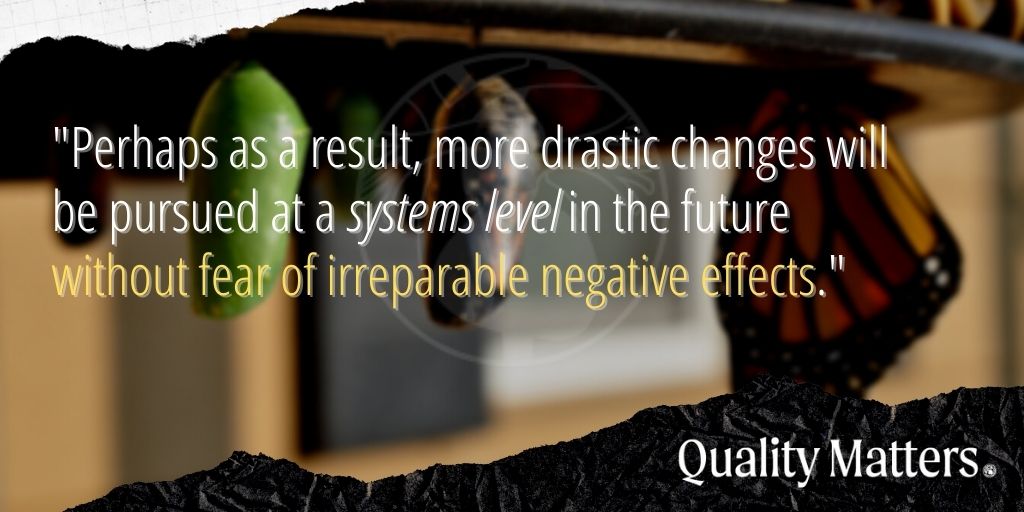 Big Picture Lessons from COVID-19 - "Perhaps as a result, more drastic changes will be pursued at a systems level in the future without fear of irreparable negative effects." - Quality Matters